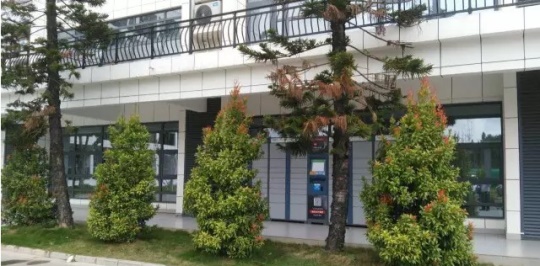 石家莊學機器人技術應用該去哪？