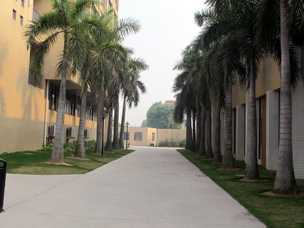 到石家莊鐵路專業(yè)學校學習鐵道運輸管理專業(yè)好嗎？