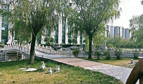 會計(jì)專業(yè)課程怎么樣？   