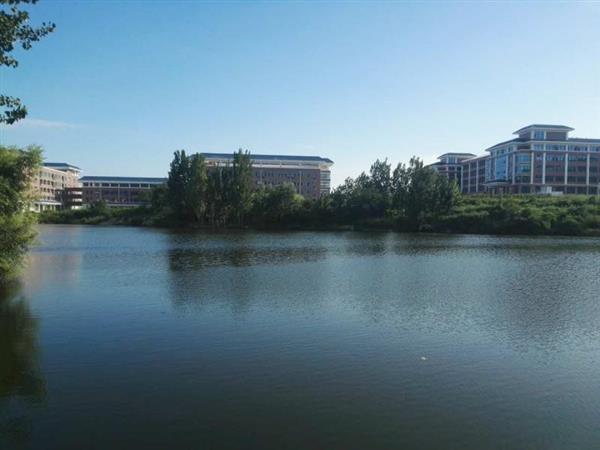 328355760420210517154906_6677 328355760420210517154906_6677