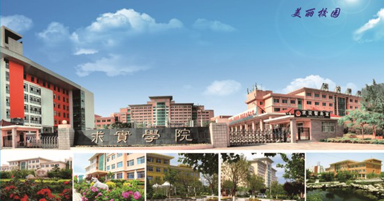 青島哪所學(xué)校開設(shè)了空中乘務(wù)專業(yè)？