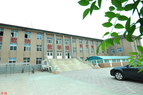 滄州國(guó)興職業(yè)技術(shù)學(xué)校開(kāi)設(shè)了哪些專業(yè)？