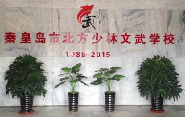 秦皇島北方少林文武學校就業(yè)如何？這答案你放心！