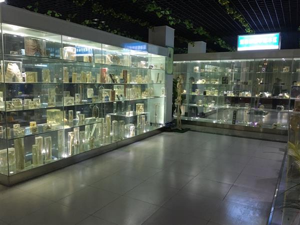 山東人民學(xué)院有沒(méi)有就業(yè)保障？