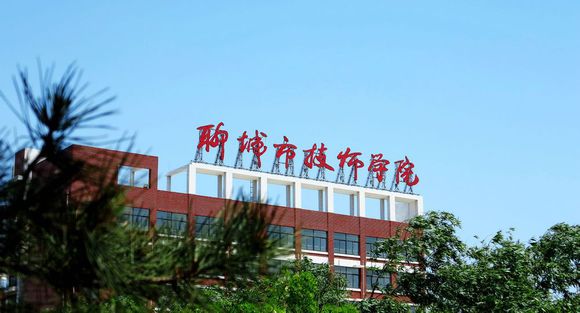 聊城市技師學(xué)院有計算機(jī)專業(yè)嗎？