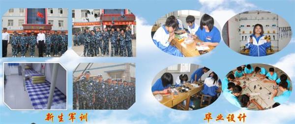 青島海信中心聯(lián)校收費(fèi)標(biāo)準(zhǔn)是什么？