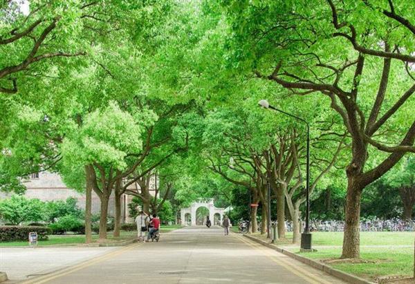 煙臺(tái)南山學(xué)院都有哪些辦學(xué)優(yōu)勢(shì)？