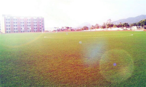 泰山護(hù)理職業(yè)學(xué)院怎么樣？