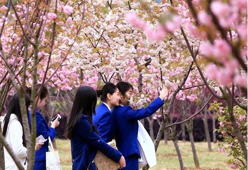 武漢東湖學院自考本科專業(yè)有哪些？