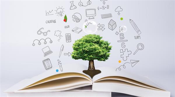 濱州市技術(shù)學(xué)院怎么樣？好不好？