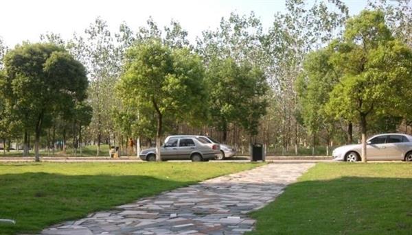 唐山慧豐會(huì)計(jì)培訓(xùn)學(xué)校特色班有哪些？