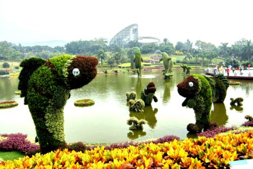 園林也是門藝術(shù)！張家口宣化科技職業(yè)學(xué)院園藝藝術(shù)專業(yè)介紹