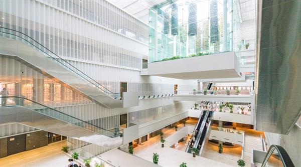 石家莊迅騰軟件學(xué)院都開設(shè)哪些專業(yè)？