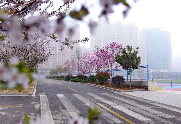 河北大學(xué)新世紀(jì)函授站成人高考輔導(dǎo)班怎么樣？