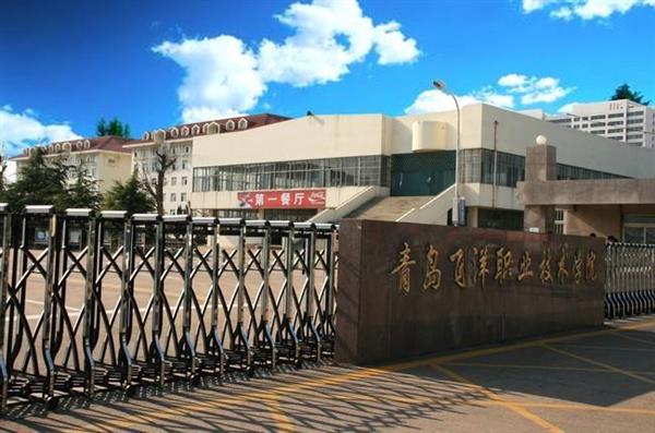 青島飛洋職業(yè)技術(shù)學(xué)院物流管理專業(yè)好嗎？