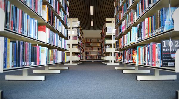 成考中的高起專、高起本、專升本都有什么報考要求？