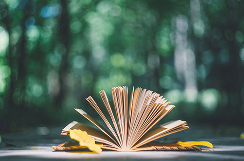 現(xiàn)代遠(yuǎn)程教育怎么樣？能考哪些學(xué)校？