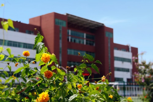 通過單招考取大學有哪些優(yōu)勢？