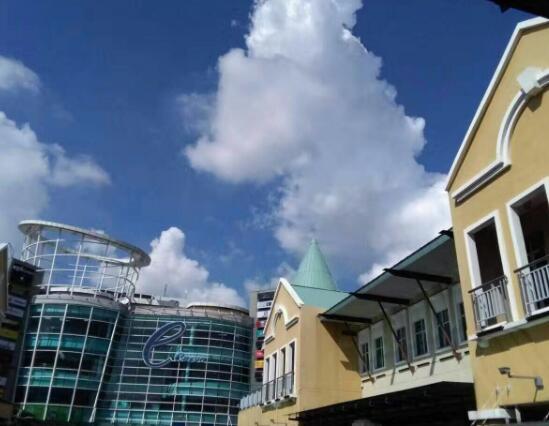 石家莊同濟(jì)醫(yī)學(xué)中等專業(yè)學(xué)校 石家莊同濟(jì)醫(yī)學(xué)中等專業(yè)學(xué)校