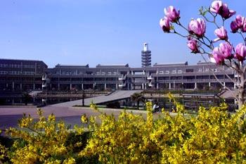 哪所學(xué)習(xí)有軟件與信息服務(wù)專業(yè)？   