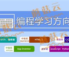 孩子為什么要盡早學習少兒編程。濟寧蘑菇云少兒編程