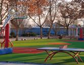 學(xué)校環(huán)境