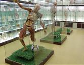 山東煤炭衛(wèi)生學(xué)校（濟南校區(qū)）實驗室、宿舍